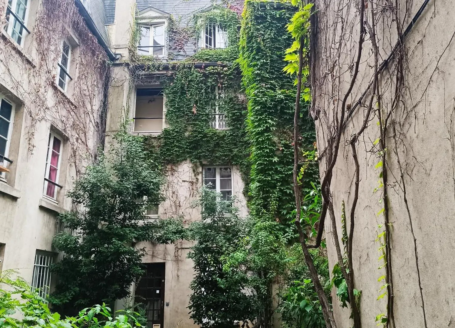 Saint-germain, Rue Des Paris